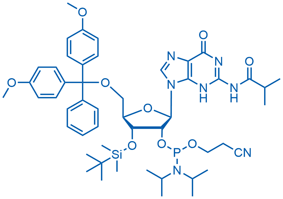 3'-O-叔丁基二甲基甲硅烷基-5'-O-DMT-N2-异丁酰鸟苷2'-CE亚磷酰胺 分子结构式