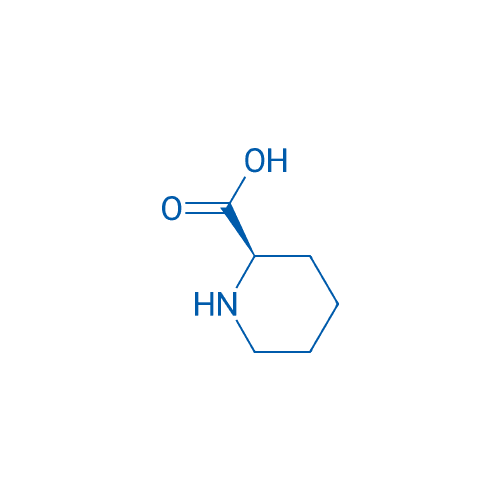 D-(+)-2-哌啶酸 分子结构式
