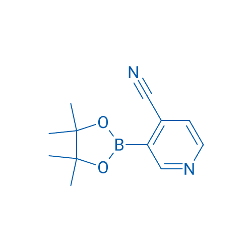 4-氰基吡啶-3-硼酸频哪醇酯 分子结构式