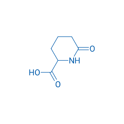 6-氧代哌啶-2-甲酸 分子结构式