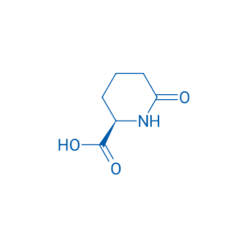 d-6-氧代哌啶-2-甲酸 分子结构式